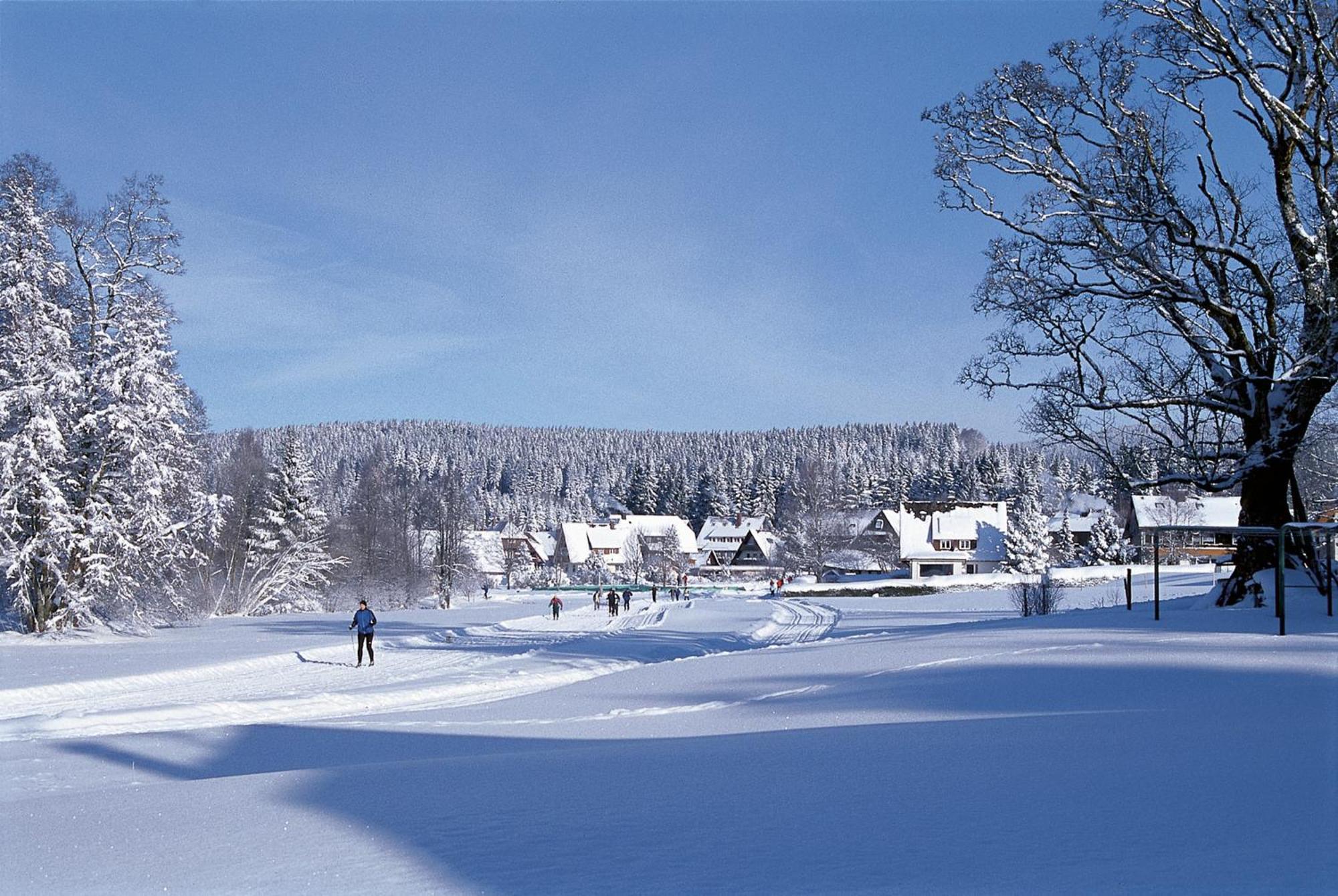 Drei Tannen - Wohnung 04 - Apartmenthaus, Titisee, Nahe Badeparadies Exterior foto